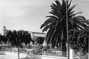 Sainte Barbe du Tlelat 503- Jardin public COLLECTION DES AMIS DE ND DE SANTA CRUZ